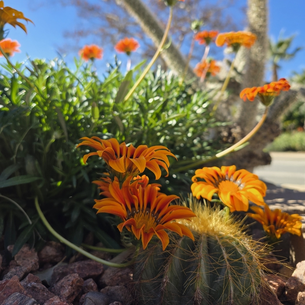 Meet your Posher, Diana